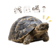 855916349