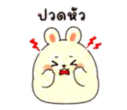 855918890
