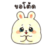 855918891