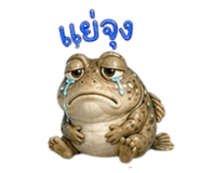 855919035