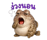 855919038