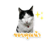 855921952