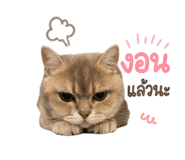 855922987