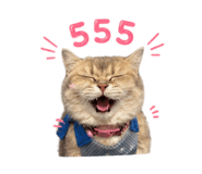 855922992