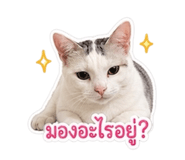 855923129