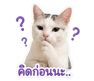 855923135