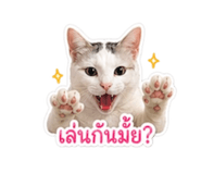 855923147
