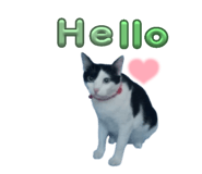855923187