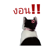 855923189