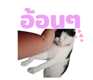 855923190