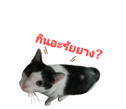 855923192