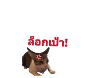 855923194