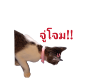 855923195
