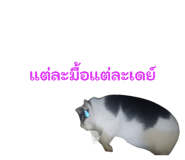 855923200