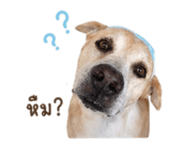 855923293