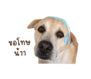 855923296