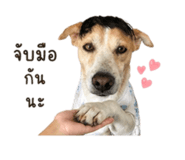 855923319