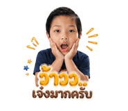 855923400