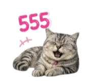 855925122