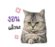 855925123