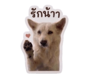 855927359