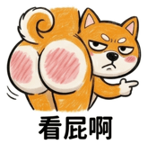 855929122