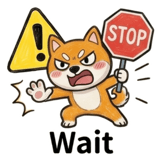 855929146