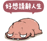 855931675
