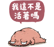 855931684