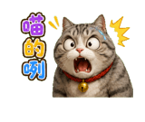 855934709