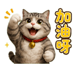 855934724