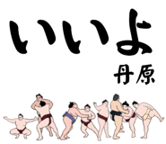 855937944