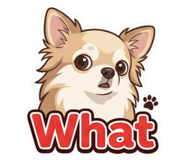 855940386