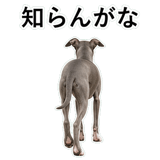855964388