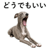 855964392