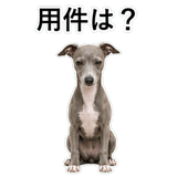 855964396