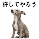 855964397