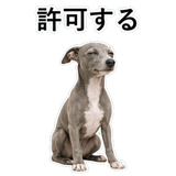 855964400