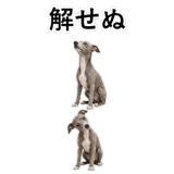 855964402