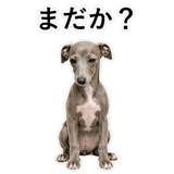 855964405