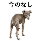 855964409