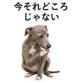 855964412