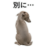 855964413