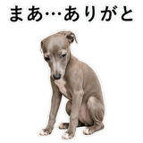 855964414