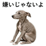 855964415