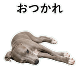 855964419