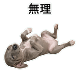 855964424