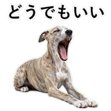 855964928