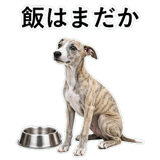 855964935