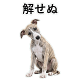 855964938